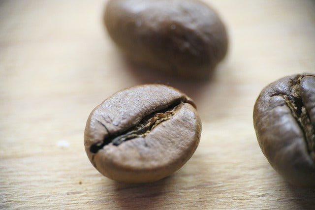 Paragon Coffee Australia