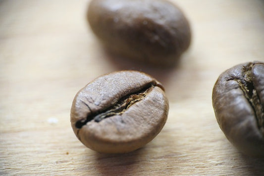 Paragon Coffee Australia